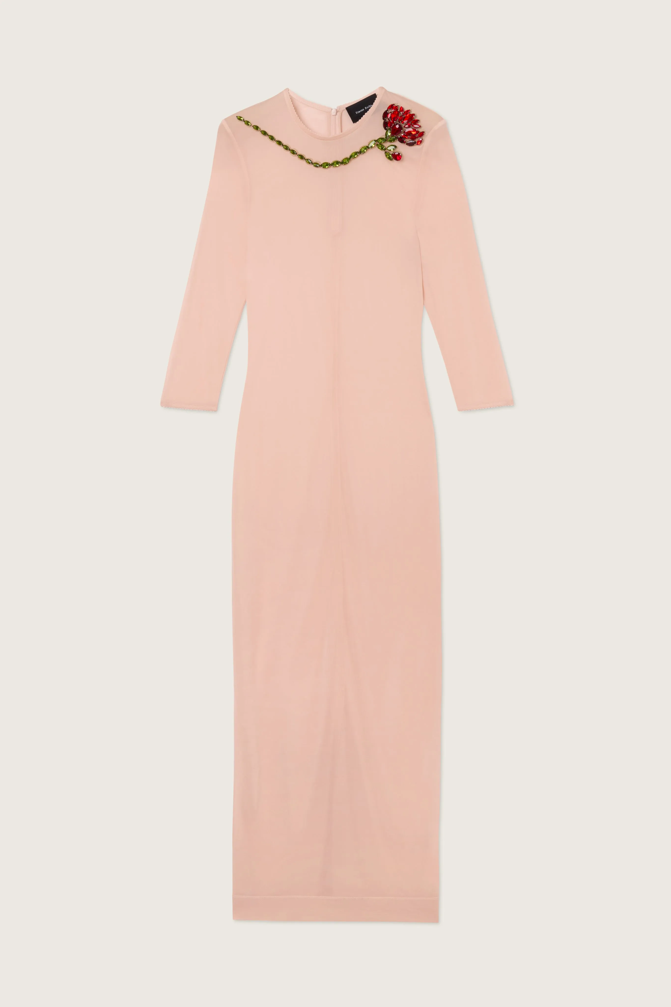 Embellished Carnation Fitted Mesh Dress