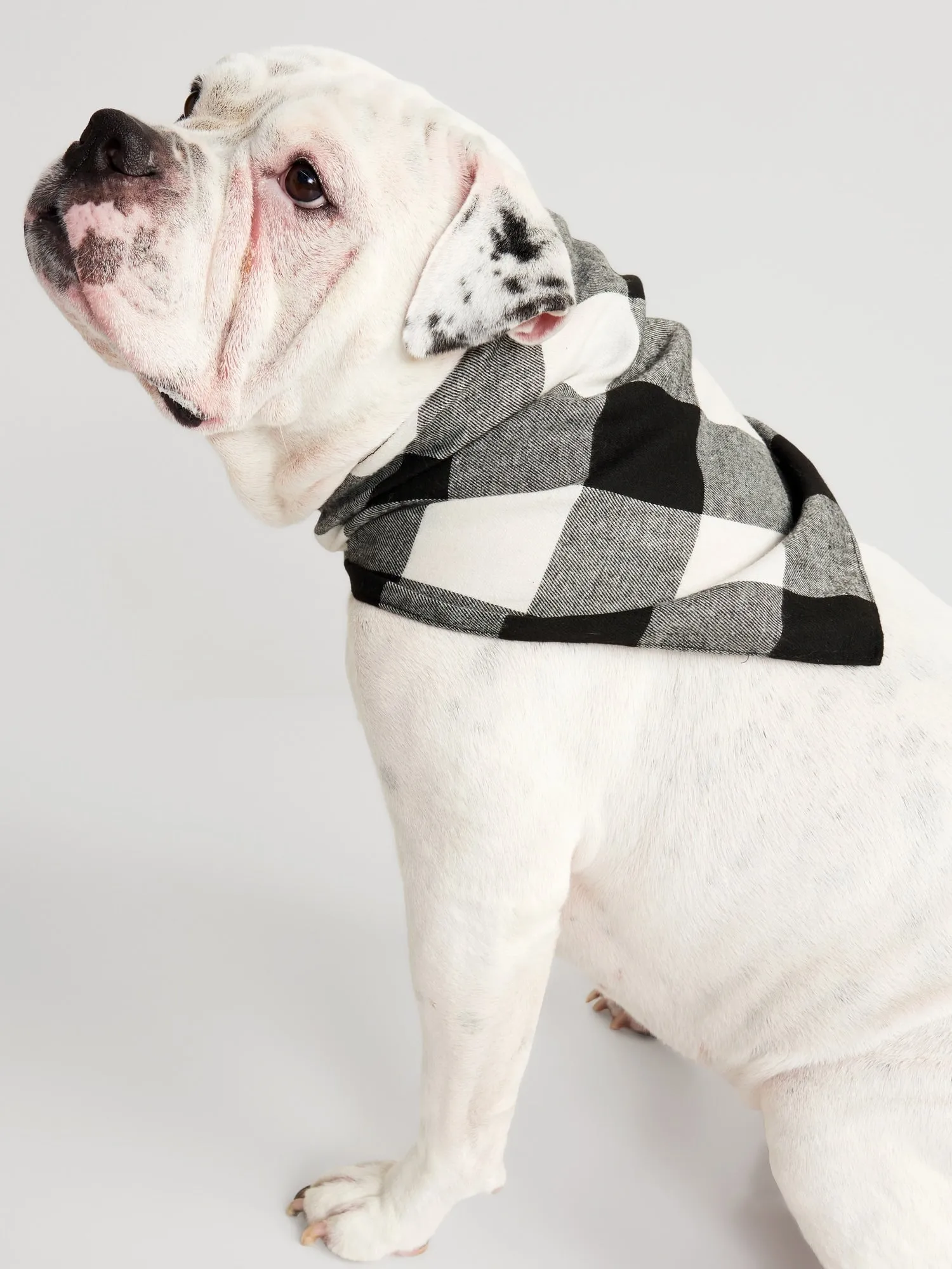Patterned Bandana for Pets