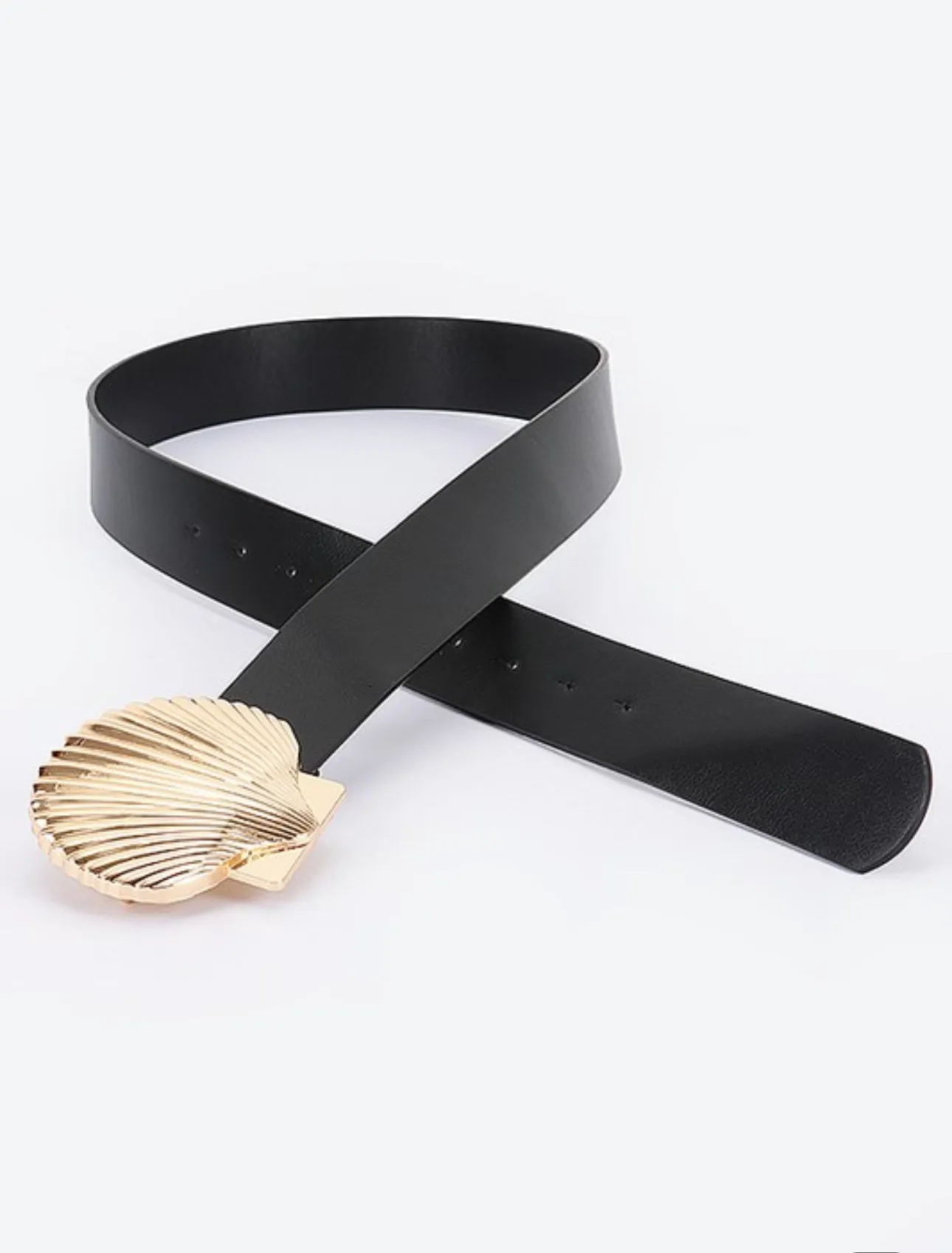 Sea shell 1.5