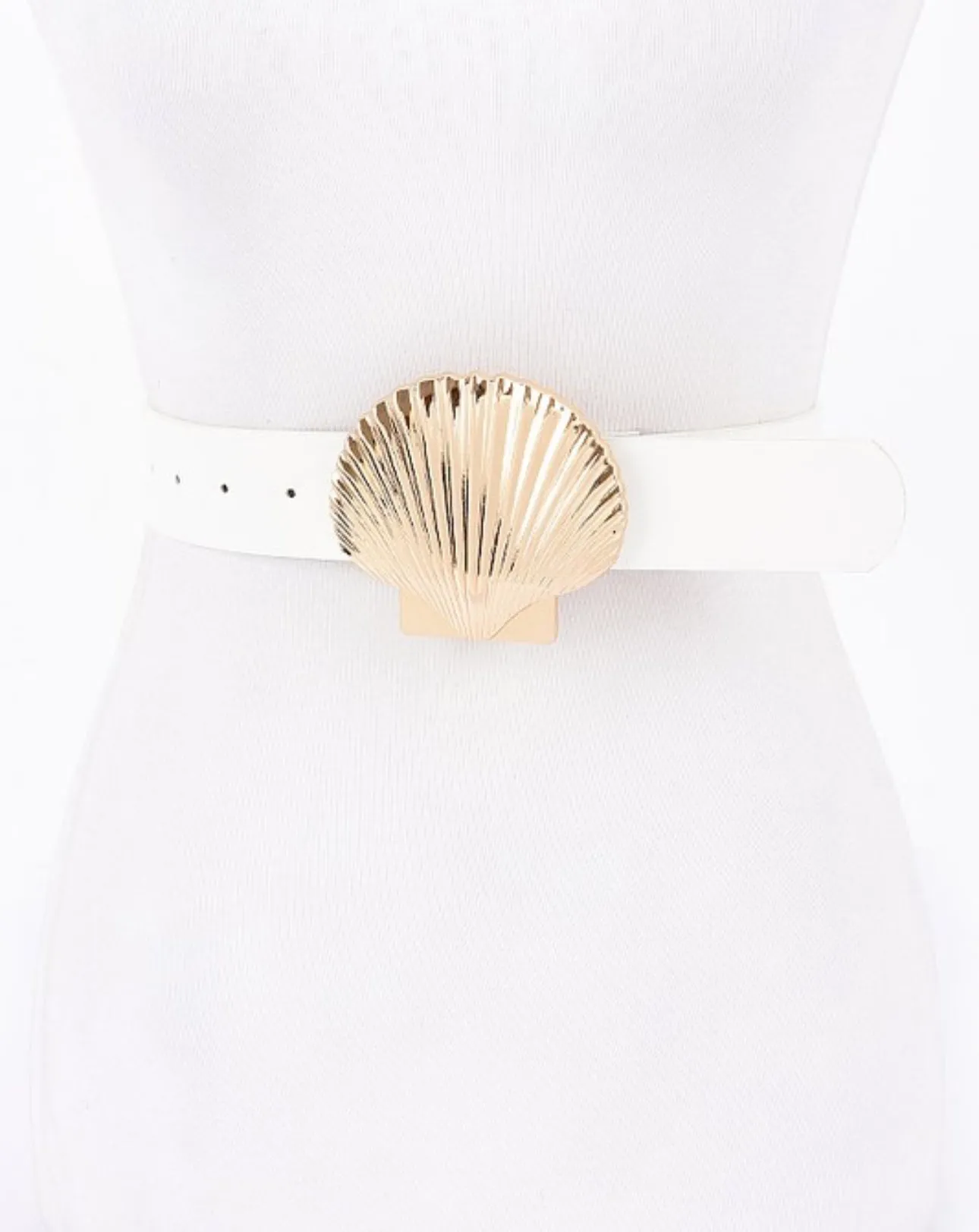 Sea shell 1.5