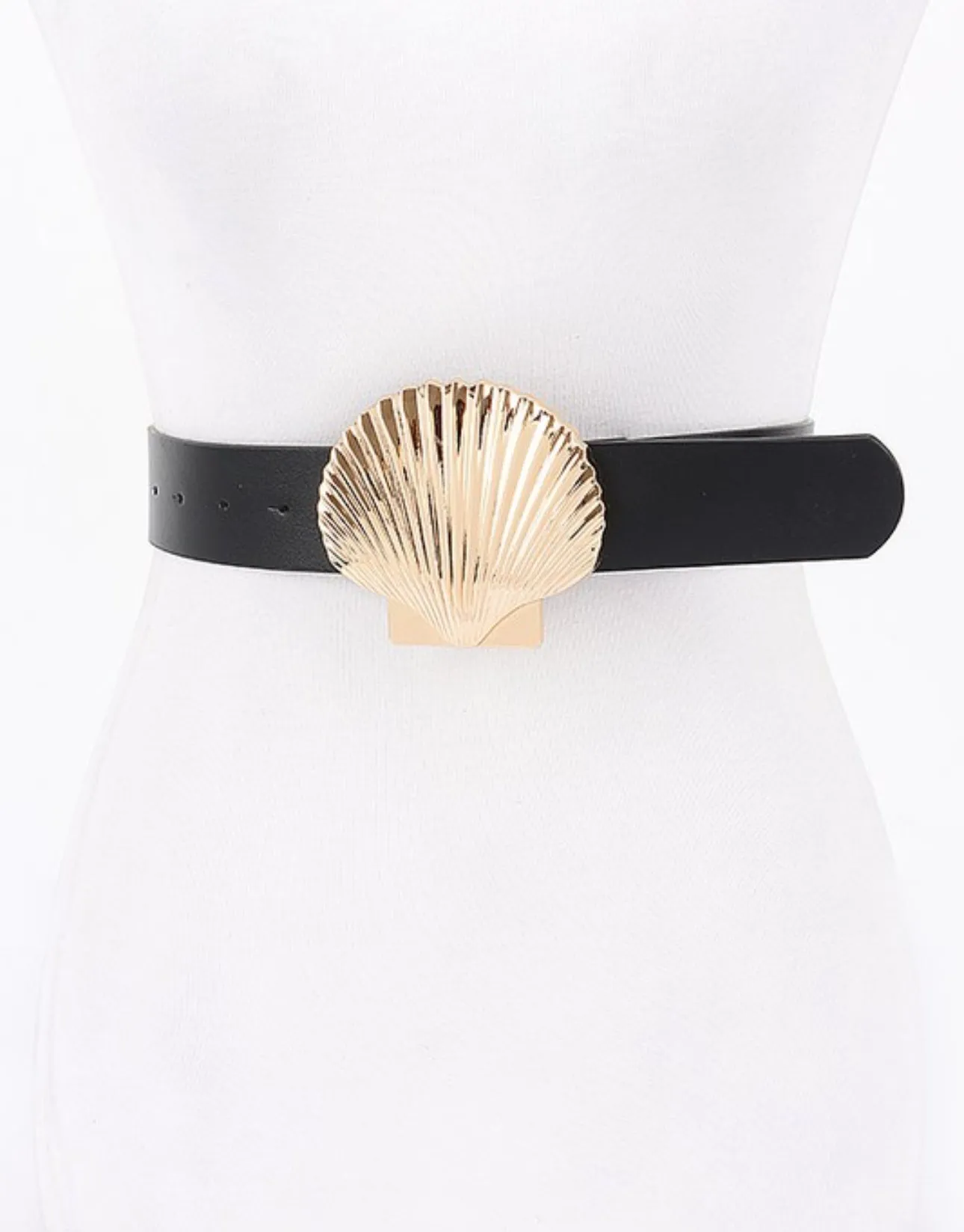 Sea shell 1.5