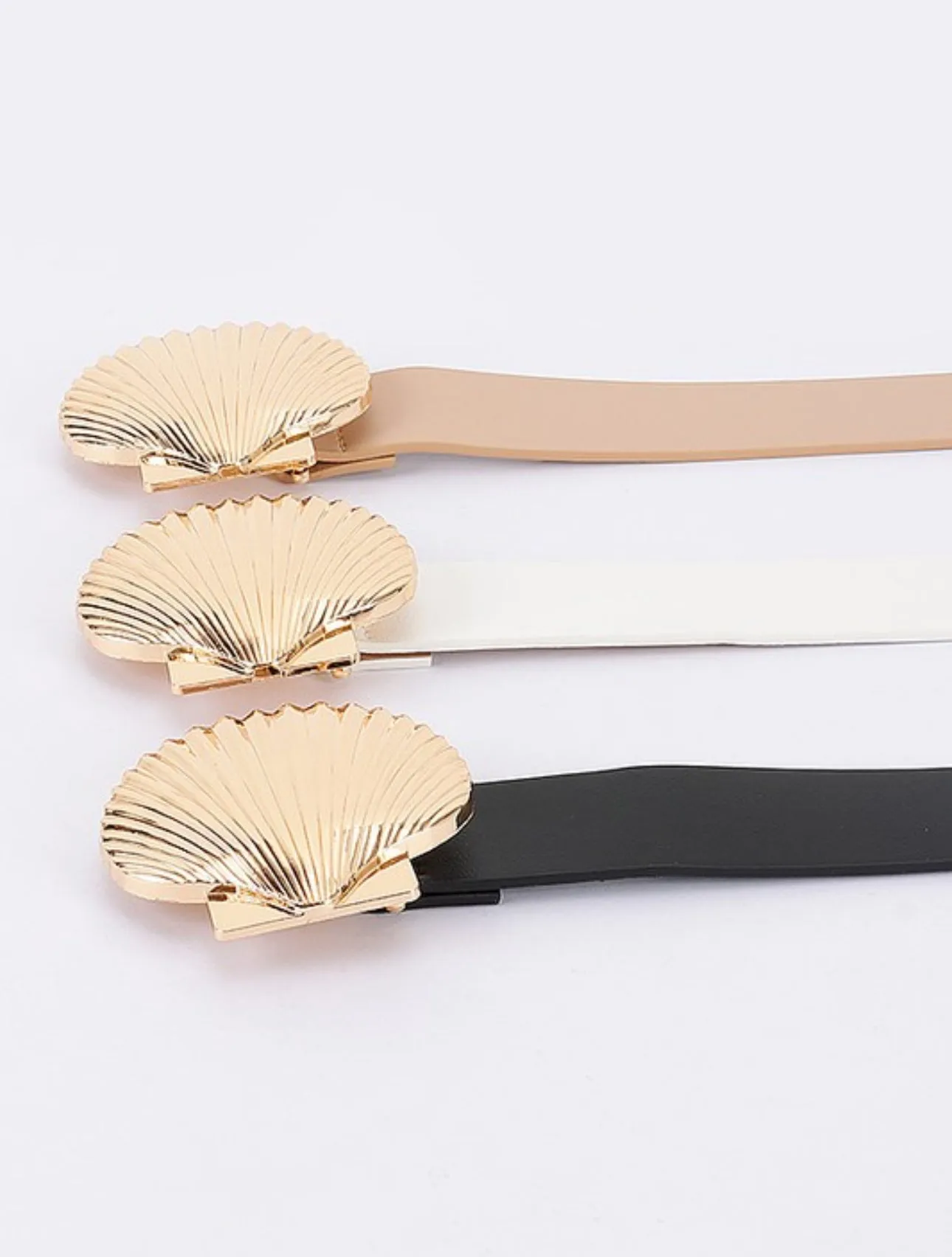 Sea shell 1.5