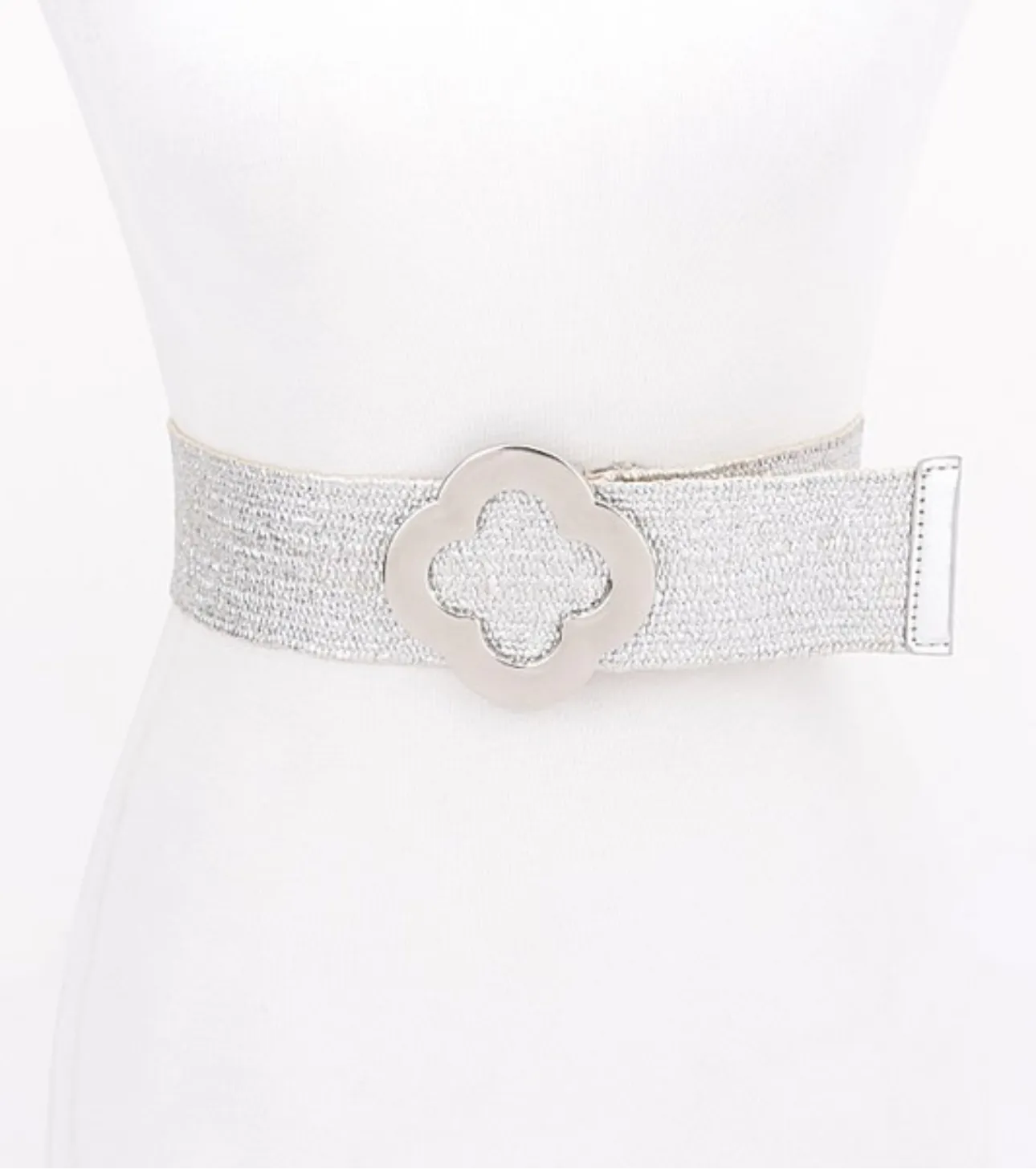 Silver Belt